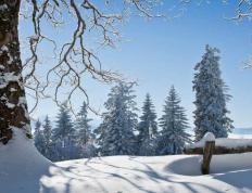 电竞比赛吸引全球(qiú)年轻观众