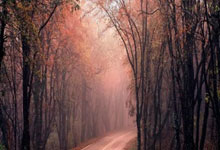 锐迪科申請(qǐng)模(mó)型训练方法專(zhuān)利，提高模(mó)型训练效率