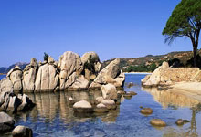 Robinhood在预测市场平台推出NFL，扩展体育(yù)博(bó)彩功能(néng)：新增组合合约