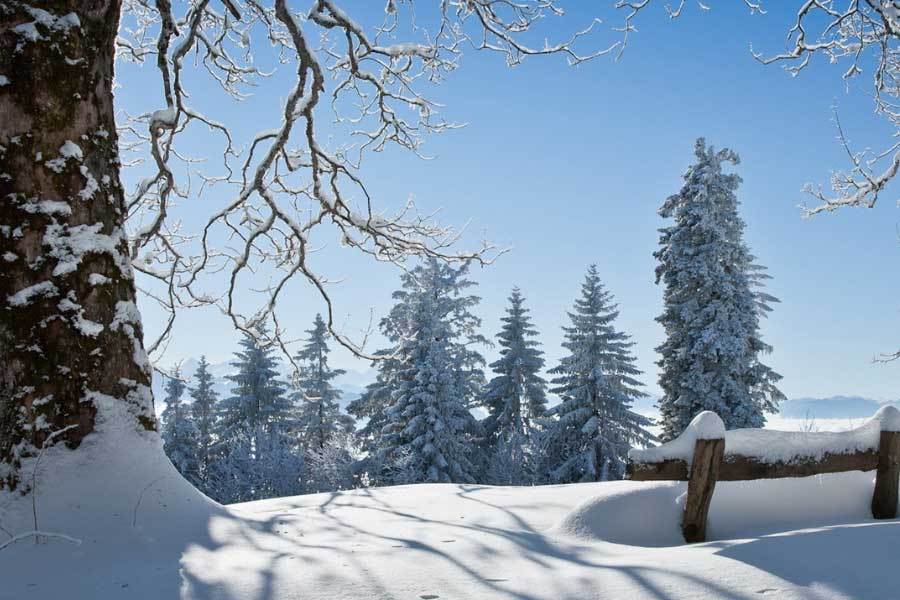 电竞比赛吸引全球(qiú)年轻观众